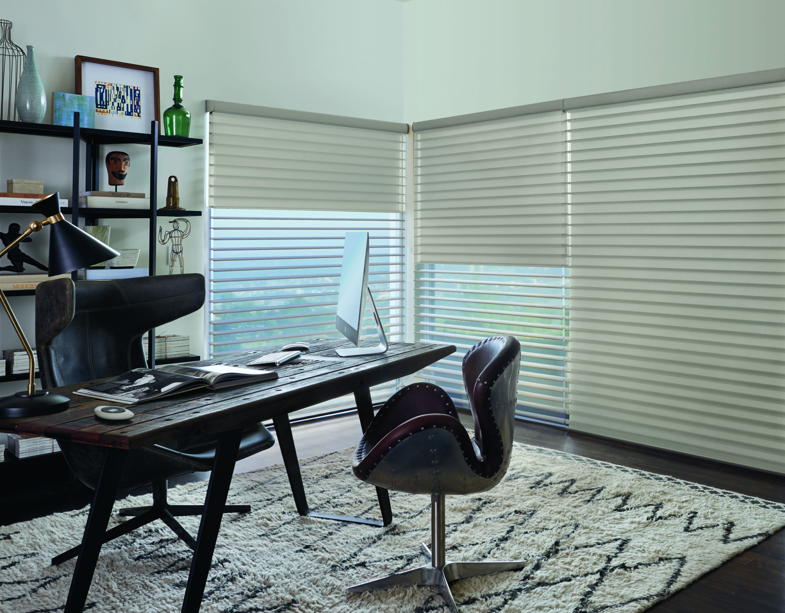 Hunter Douglas PowerView® Motorization Smart Shades in home office