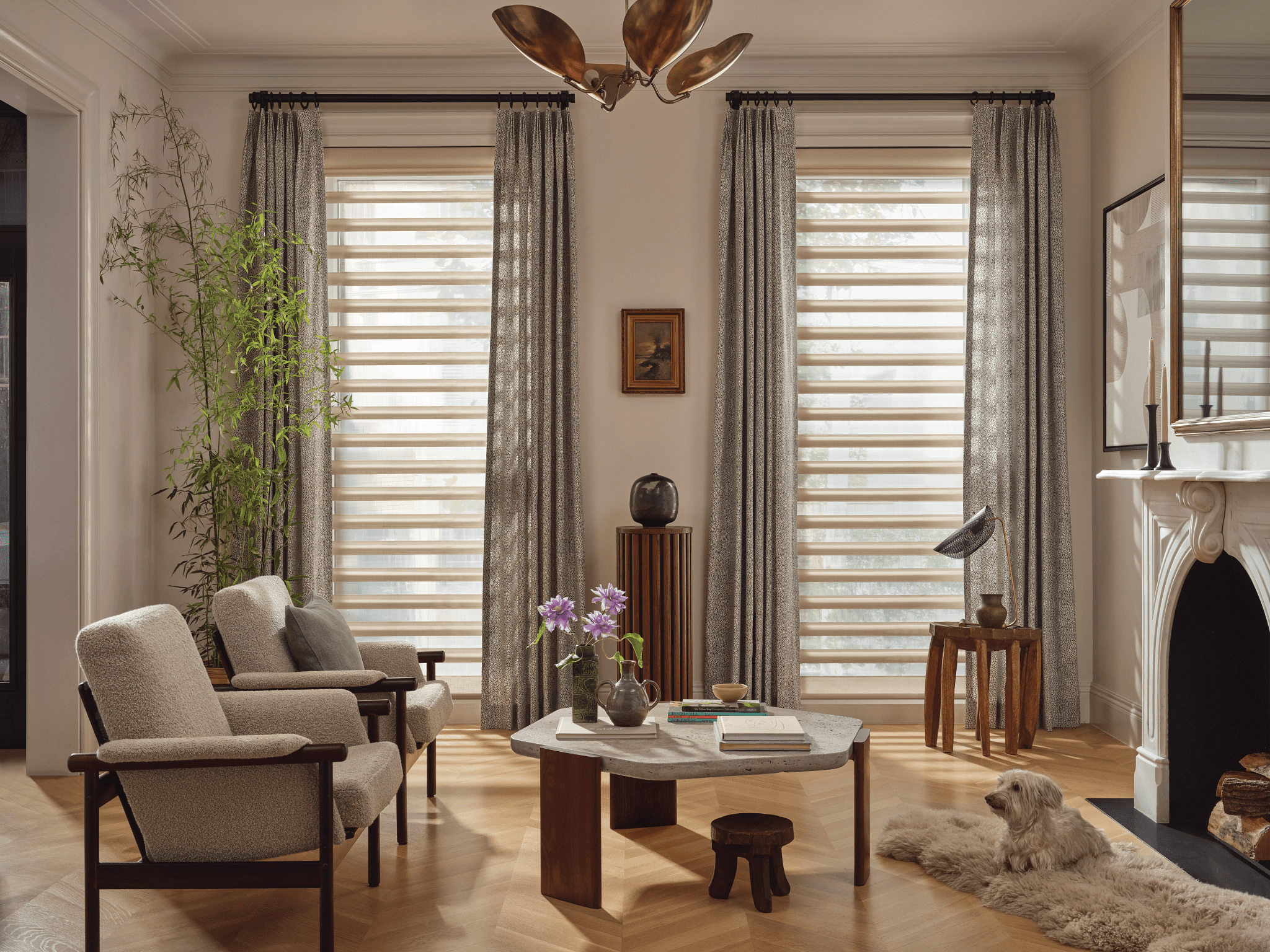 layered-custom-drapery-denver-living-room.jp A living room with two armchairs, a marble coffee table, a dog on a rug, houseplants, and large windows with sheer striped shades and gray curtains.